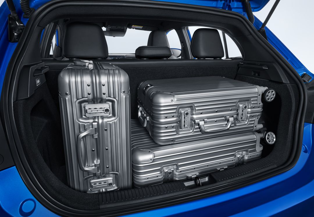 Trunk-3